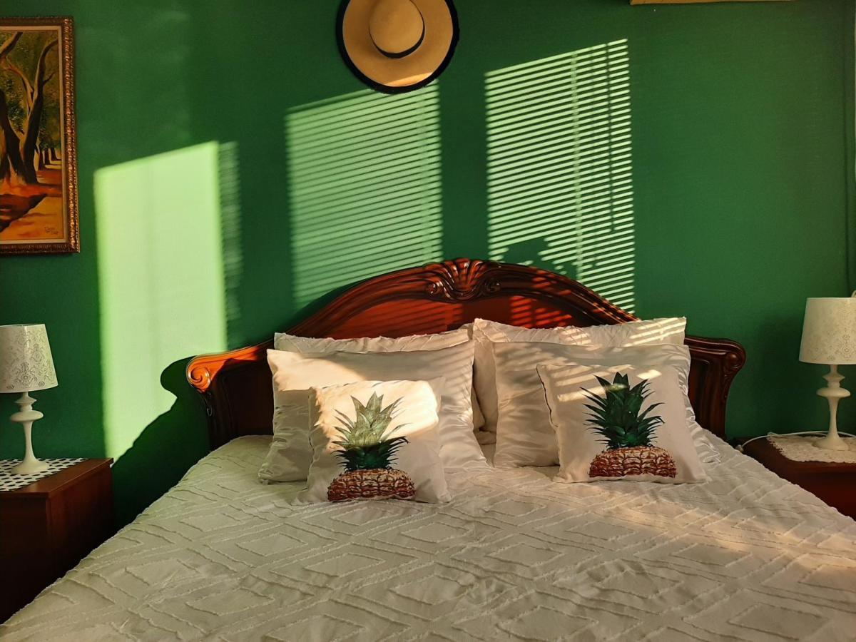 Cosy Central Apartment Shkodra Kültér fotó